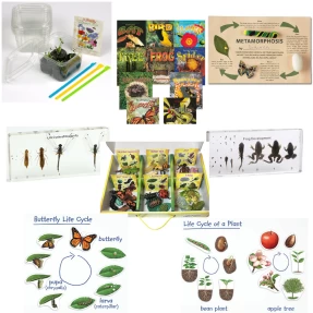 Life Cycle Bundle