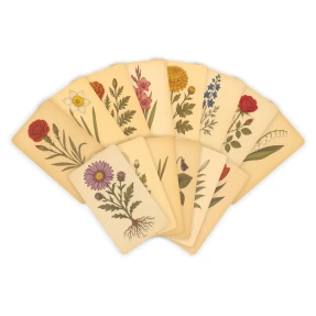 Botanical Rubbing Plates