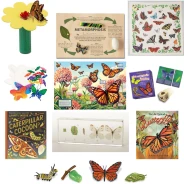Butterfly Bundle