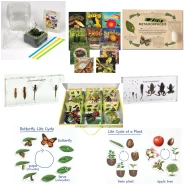 Life Cycle Bundle